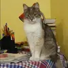 Отзыв от Жанна Смирнова